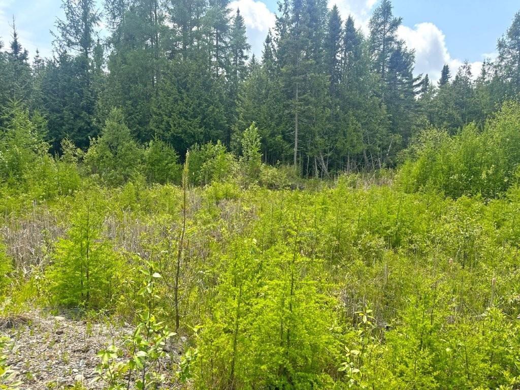 2999 Alice Ave, Thunder Bay, ON