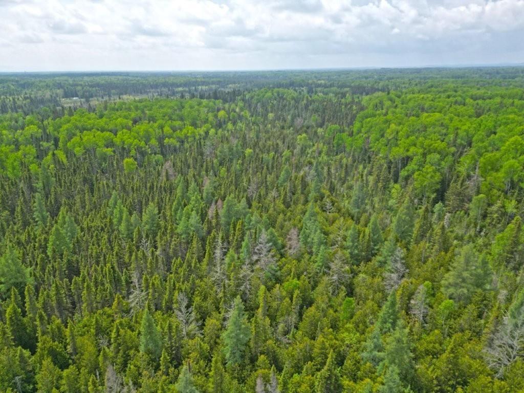 2999 Alice Ave, Thunder Bay, ON