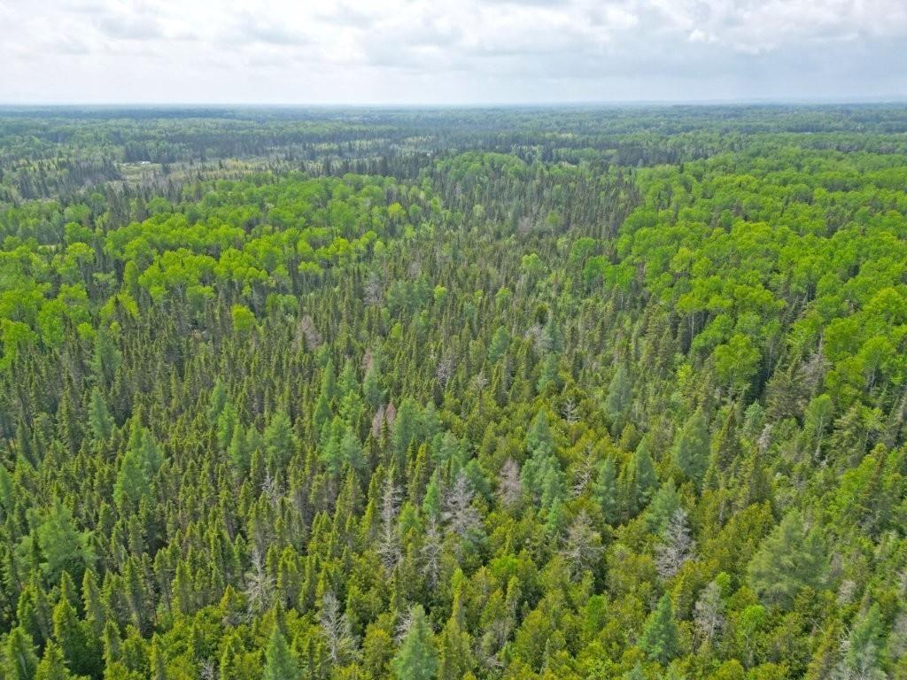 2999 Alice Ave, Thunder Bay, ON