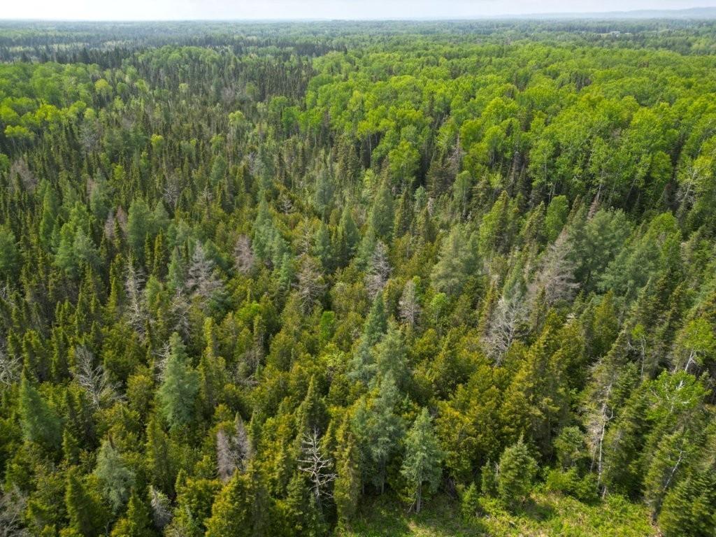 2999 Alice Ave, Thunder Bay, ON