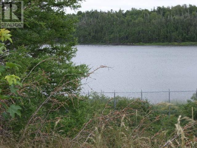 Lot 2 Junction Pond Unit#Lot 2, Whitbourne, NL
