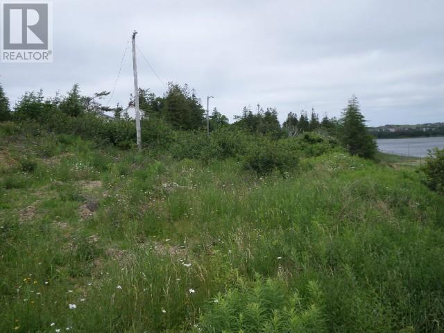 Lot 2 Junction Pond Unit#Lot 2, Whitbourne, NL