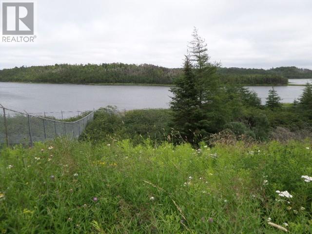 Lot 2 Junction Pond Unit#Lot 2, Whitbourne, NL