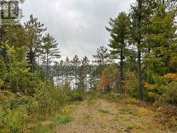 Driveway on Property -