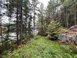 Path/road down to the water. -