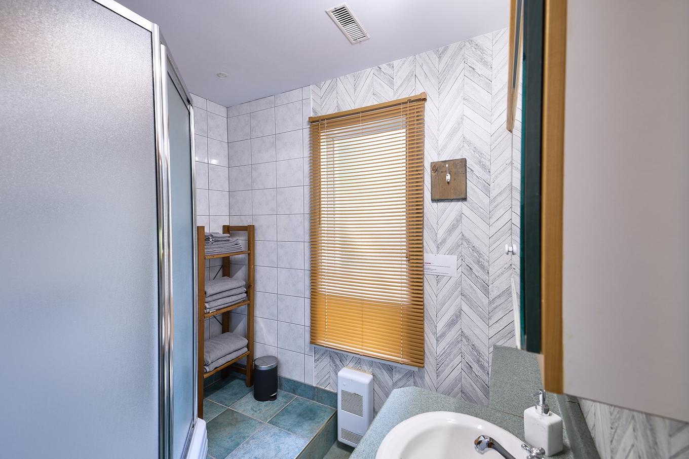 Salle de bains - 734 Ch. Du Lac-Sylvère, Saint-Donat, QC - Indoor Photo Showing Bathroom