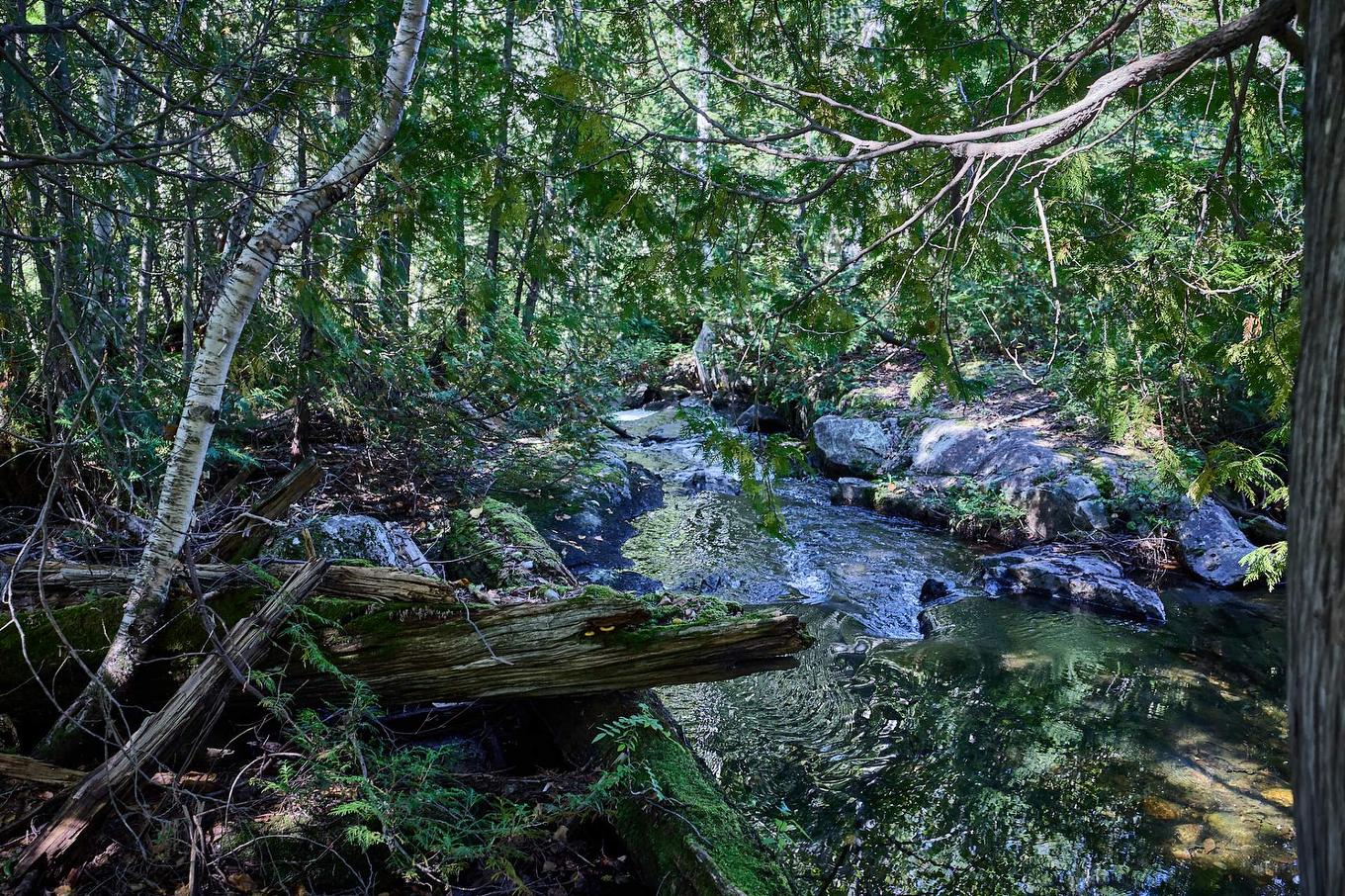 Autre - 734 Ch. Du Lac-Sylvère, Saint-Donat, QC - Outdoor