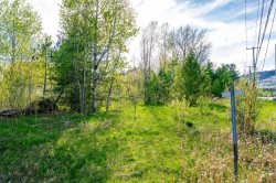 Lot -