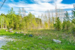Lot -