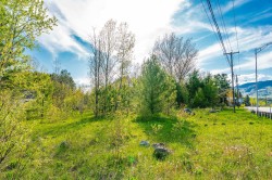 Lot -