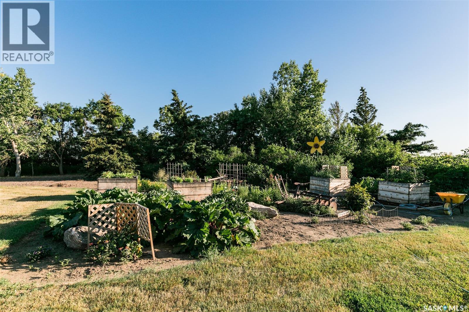 Scholer Acreage, Luseland, SK - Outdoor