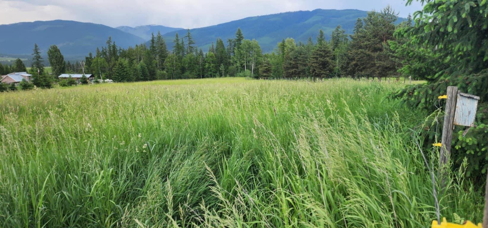 48 Puckett Road, Cherryville, BC - Outdoor With View