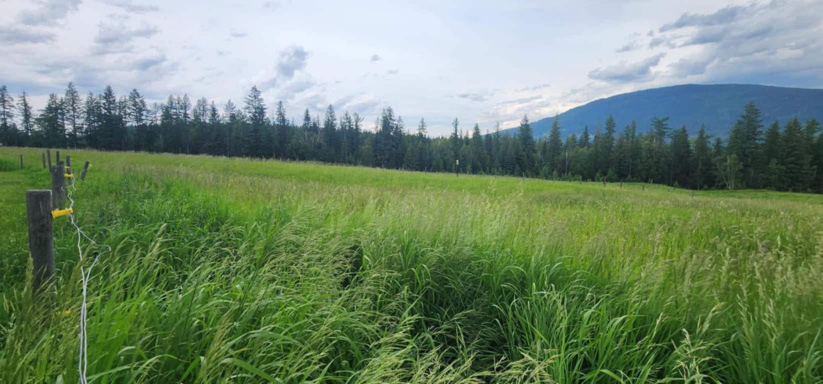 48 Puckett Road, Cherryville, BC - Outdoor With View