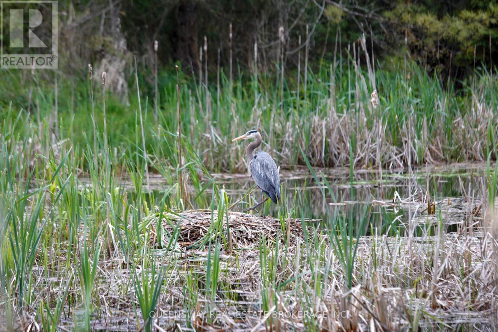 Block73 Shawano Drive, Alnwick/Haldimand, ON