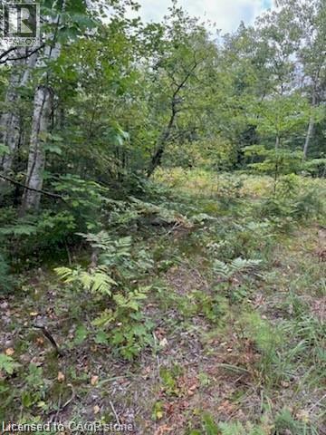 View of wooded area - Pt Lot 7 West Ipperwash Road, Lambton Shores (Munic), ON