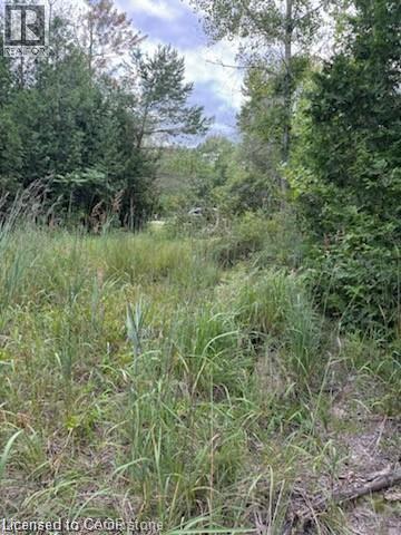 View of nature - Pt Lot 7 West Ipperwash Road, Lambton Shores (Munic), ON