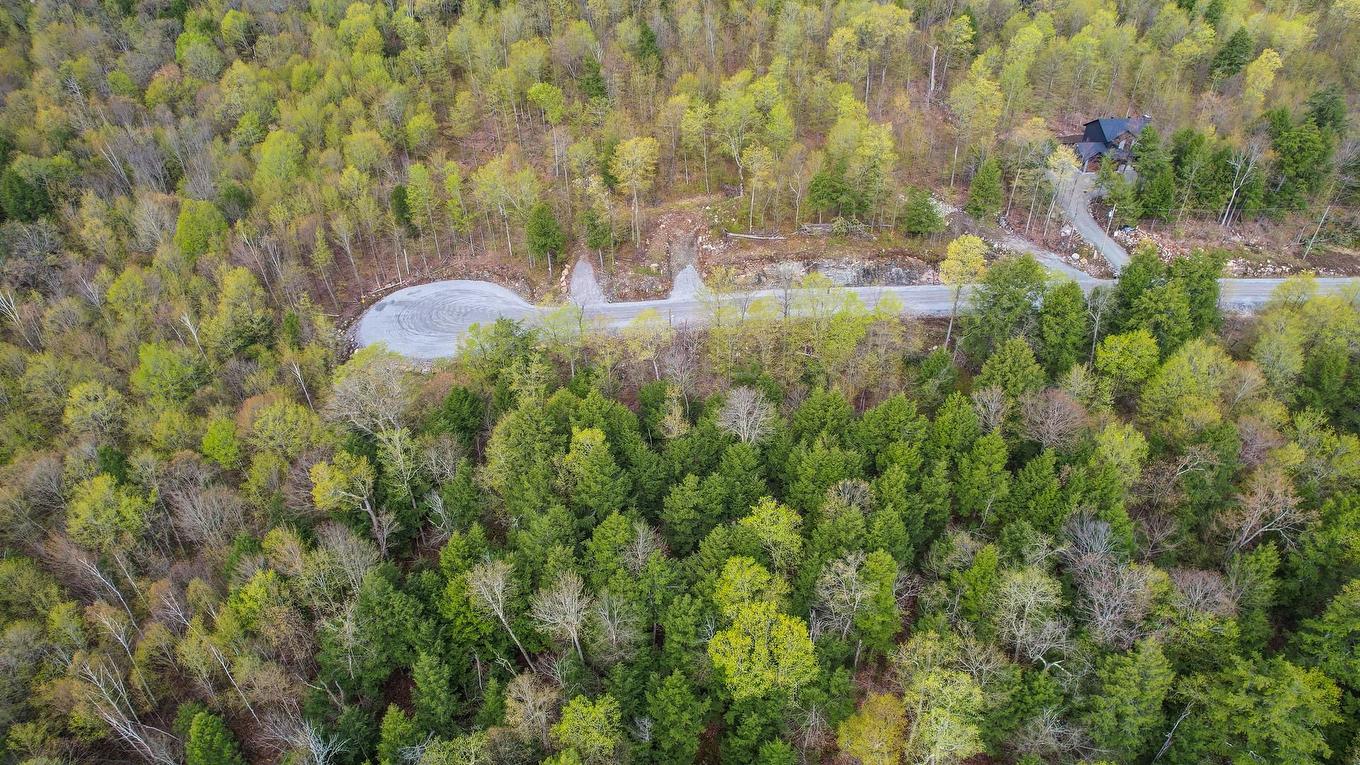 Vue d'ensemble - 45 Ch. De La Fresque, Val-Des-Monts, QC