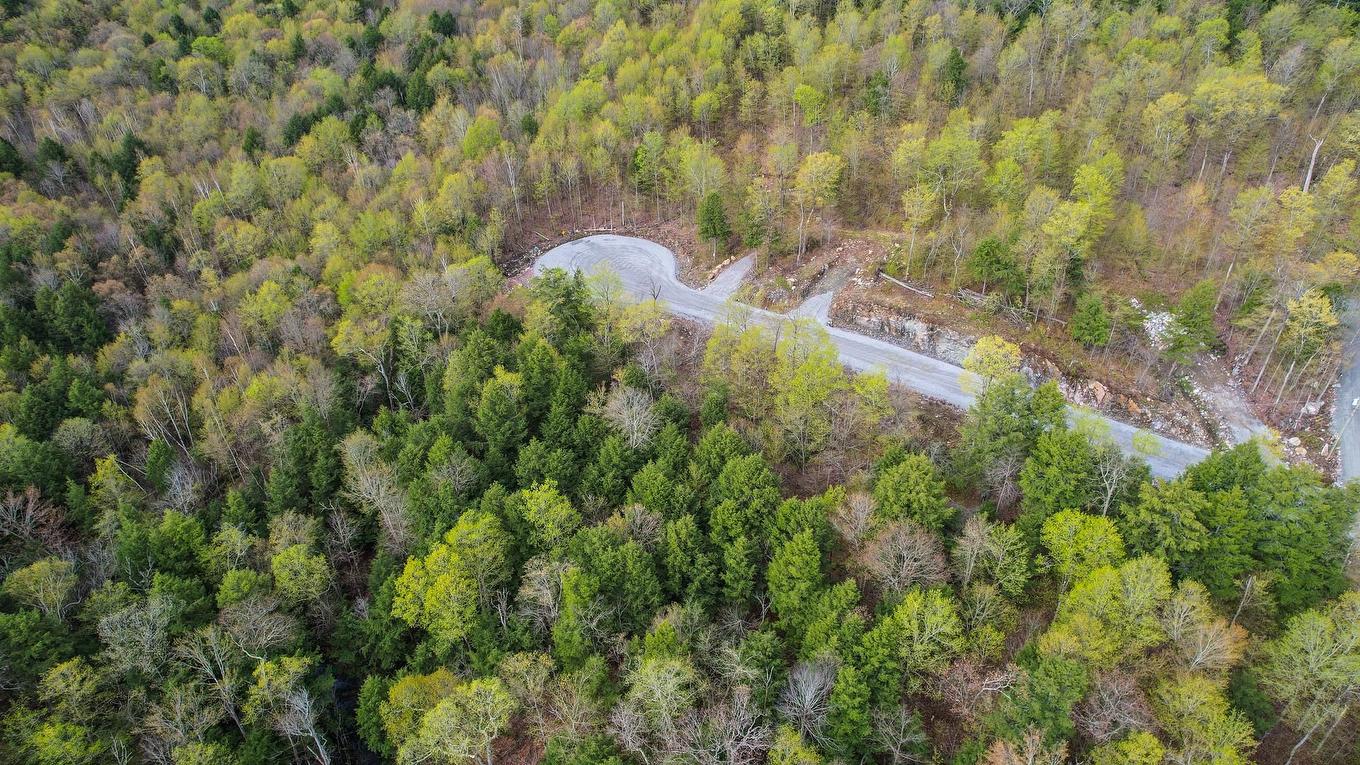 Vue d'ensemble - 45 Ch. De La Fresque, Val-Des-Monts, QC