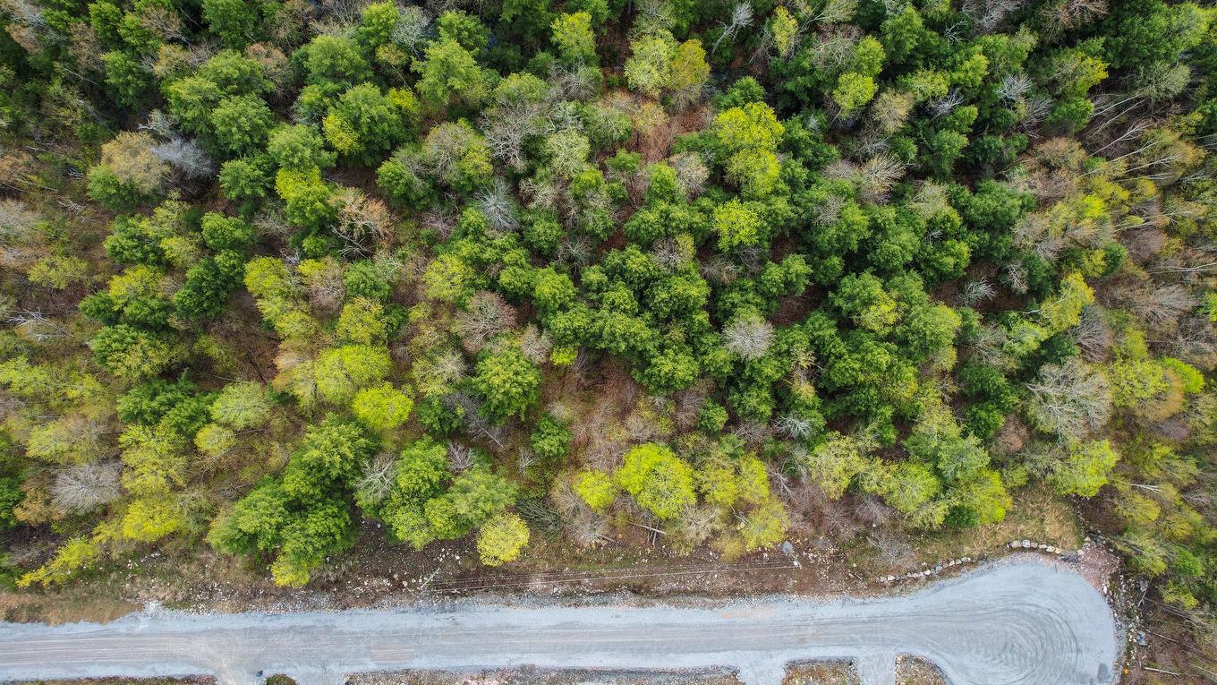 Vue d'ensemble - 45 Ch. De La Fresque, Val-Des-Monts, QC