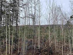 Leitches creek Road North Sydney, NS B2A 3Y9