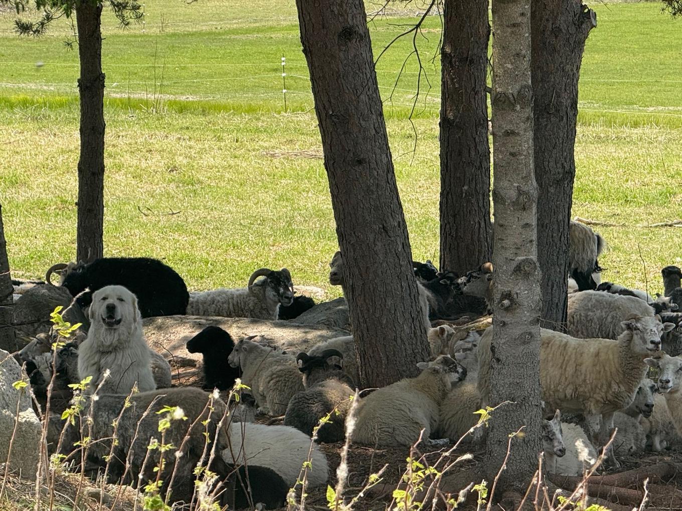 Other - 827 Route 391, Rémigny, QC