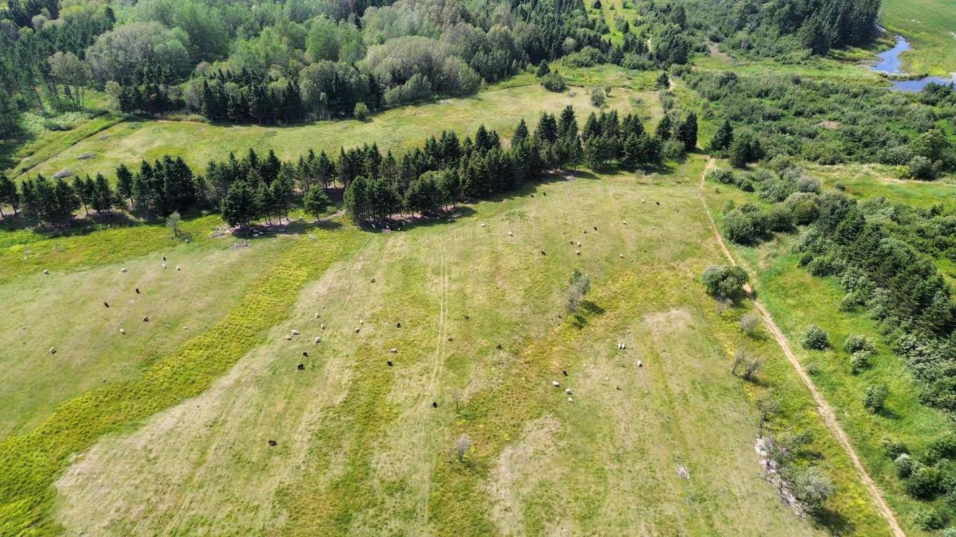 Overall view - 827 Route 391, Rémigny, QC