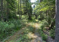 Lot 3 Target Hill Road Chester, NS B0J 1J0