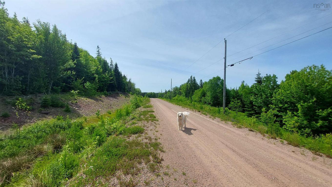 Lot 22 Kopylov Lane, Kempt Road, NS