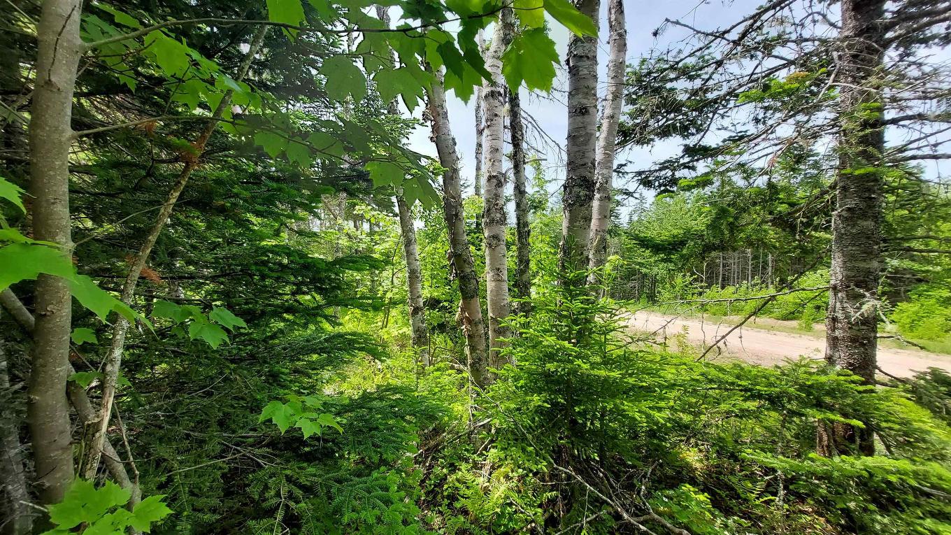 Lot 22 Kopylov Lane, Kempt Road, NS