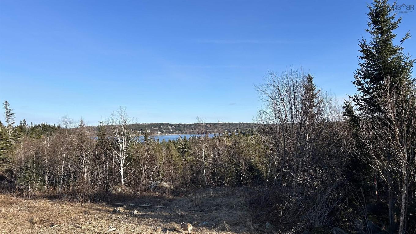 Lot 4-B West Petpeswick Road, Musquodoboit Harbour, NS
