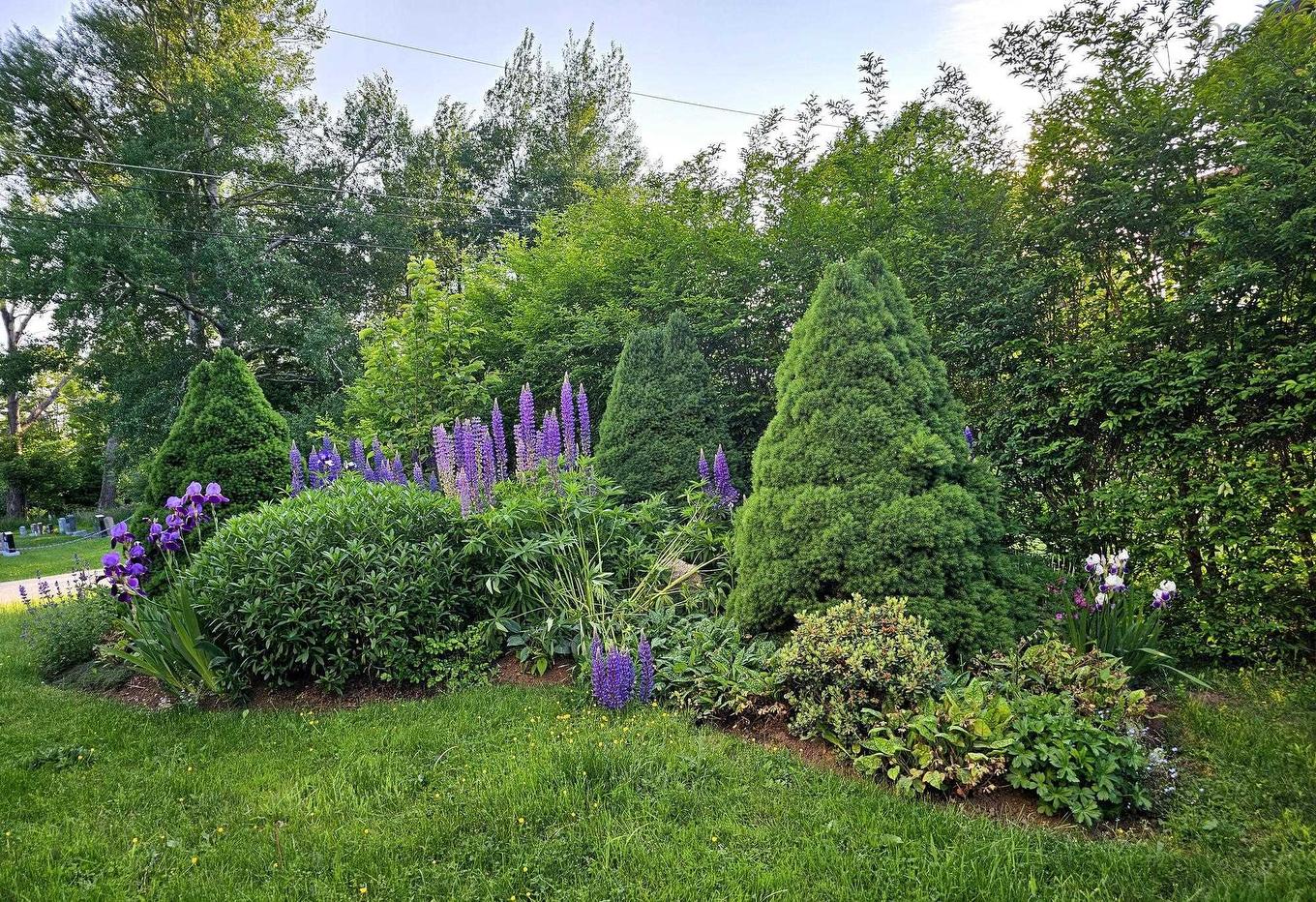 24 Chapel Street, Annapolis Royal, NS