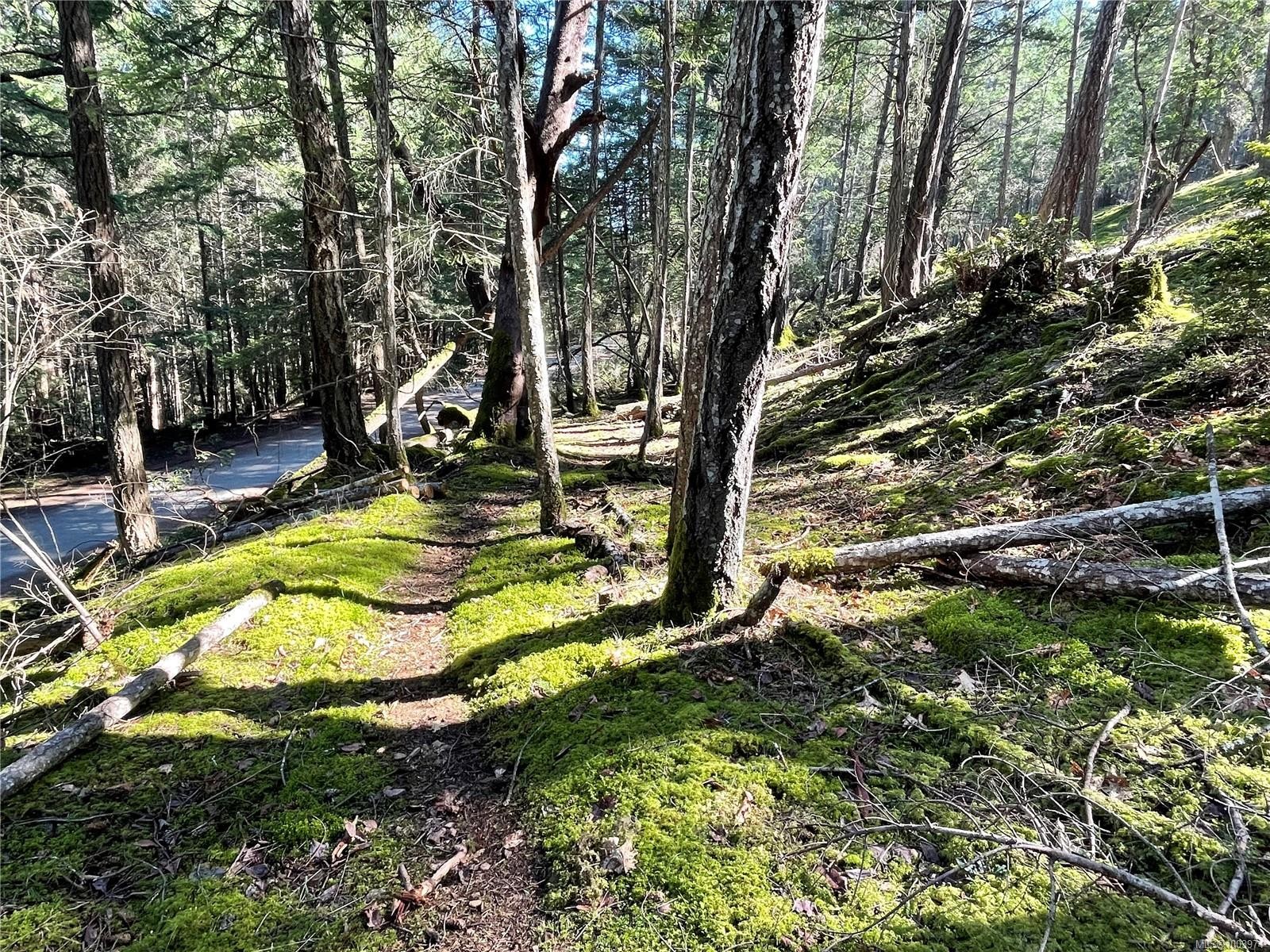 Lot 145 Coho Blvd, Mudge Island, BC