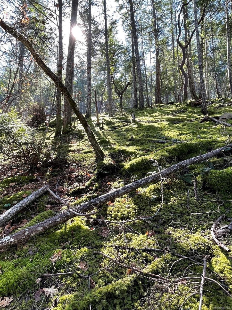 Lot 145 Coho Blvd, Mudge Island, BC