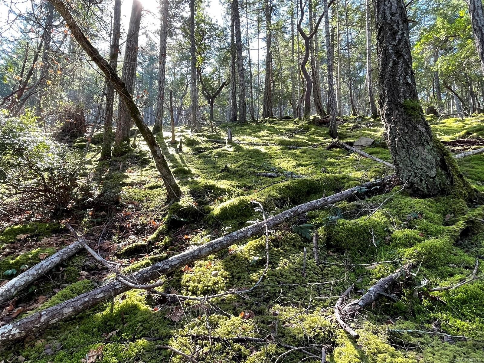 Lot 145 Coho Blvd, Mudge Island, BC