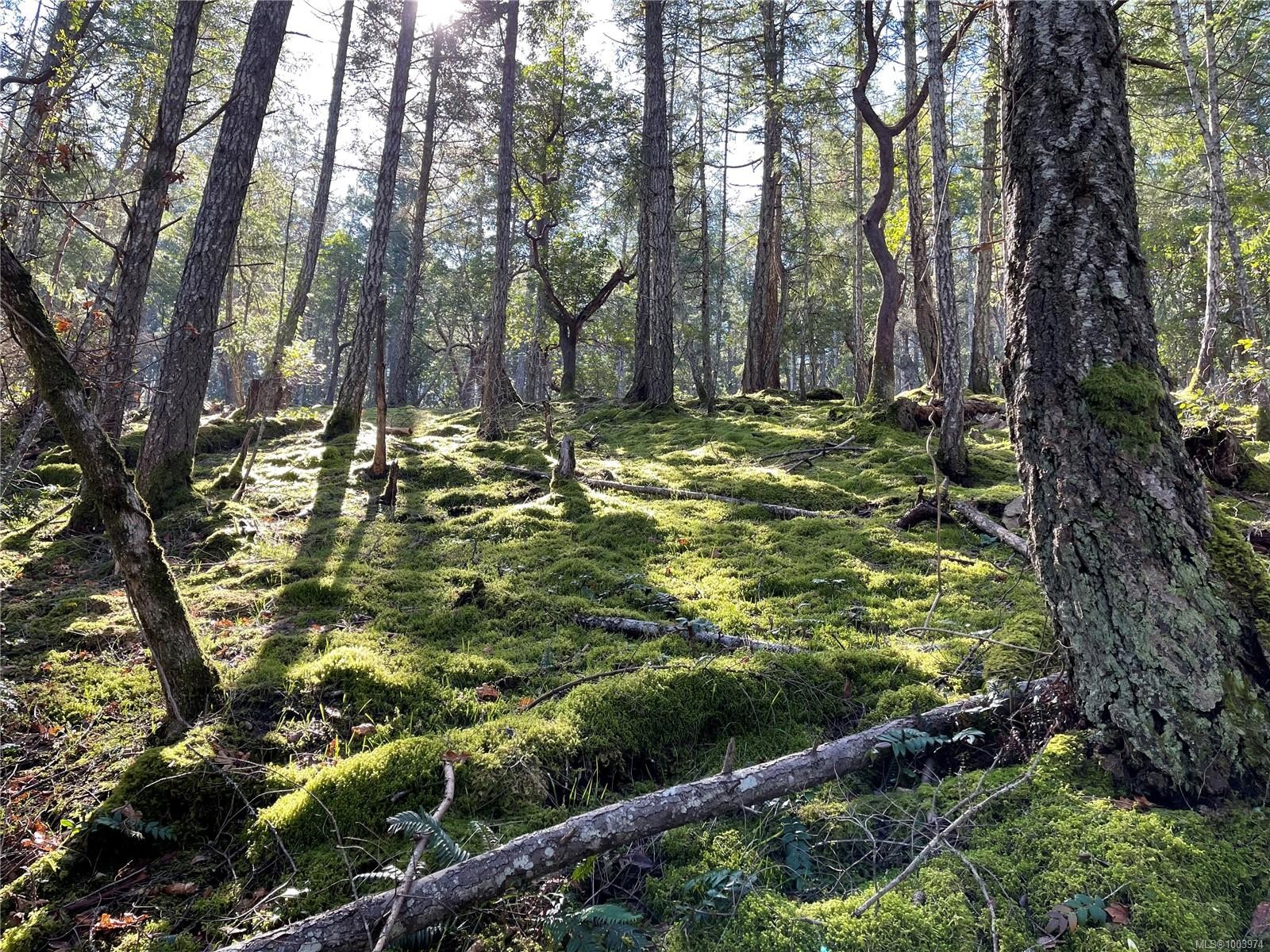 Lot 145 Coho Blvd, Mudge Island, BC