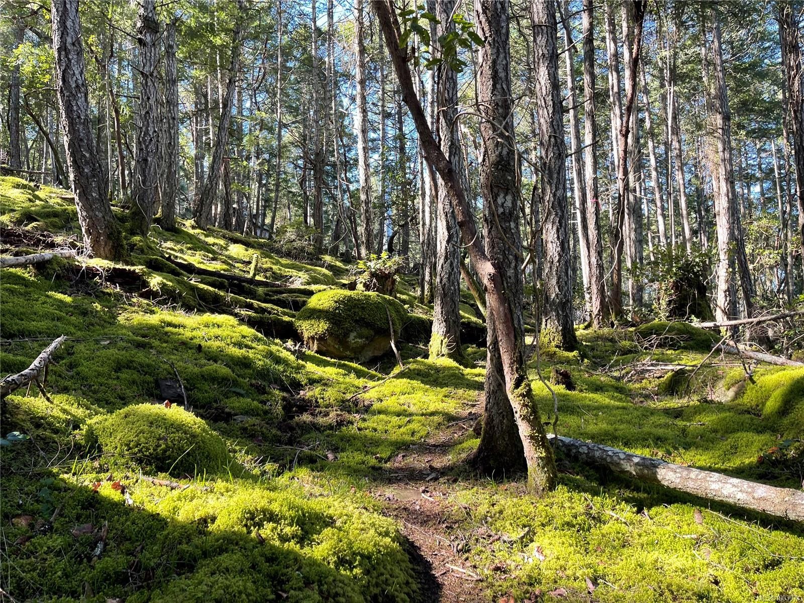 Lot 145 Coho Blvd, Mudge Island, BC