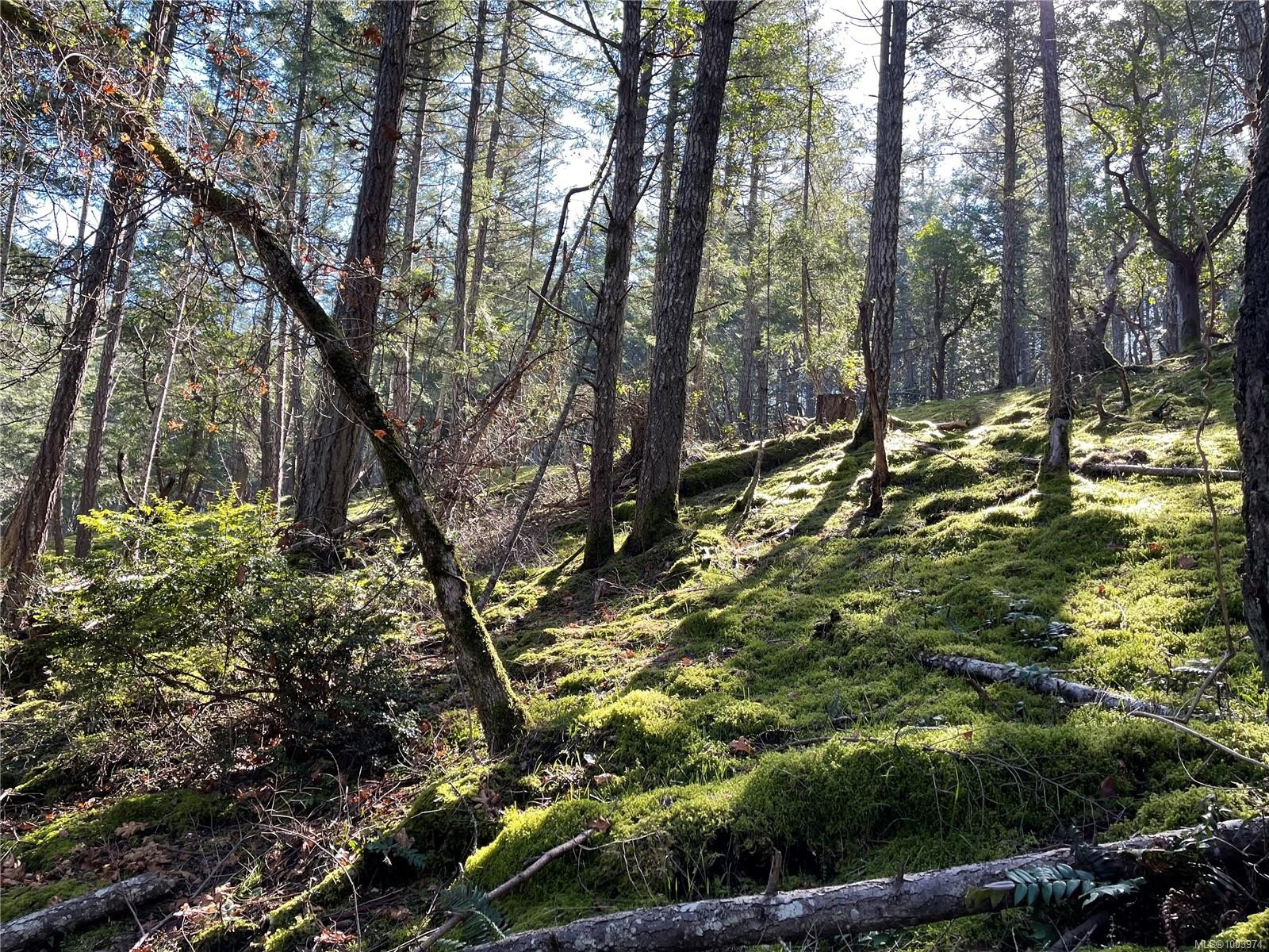 Lot 145 Coho Blvd, Mudge Island, BC