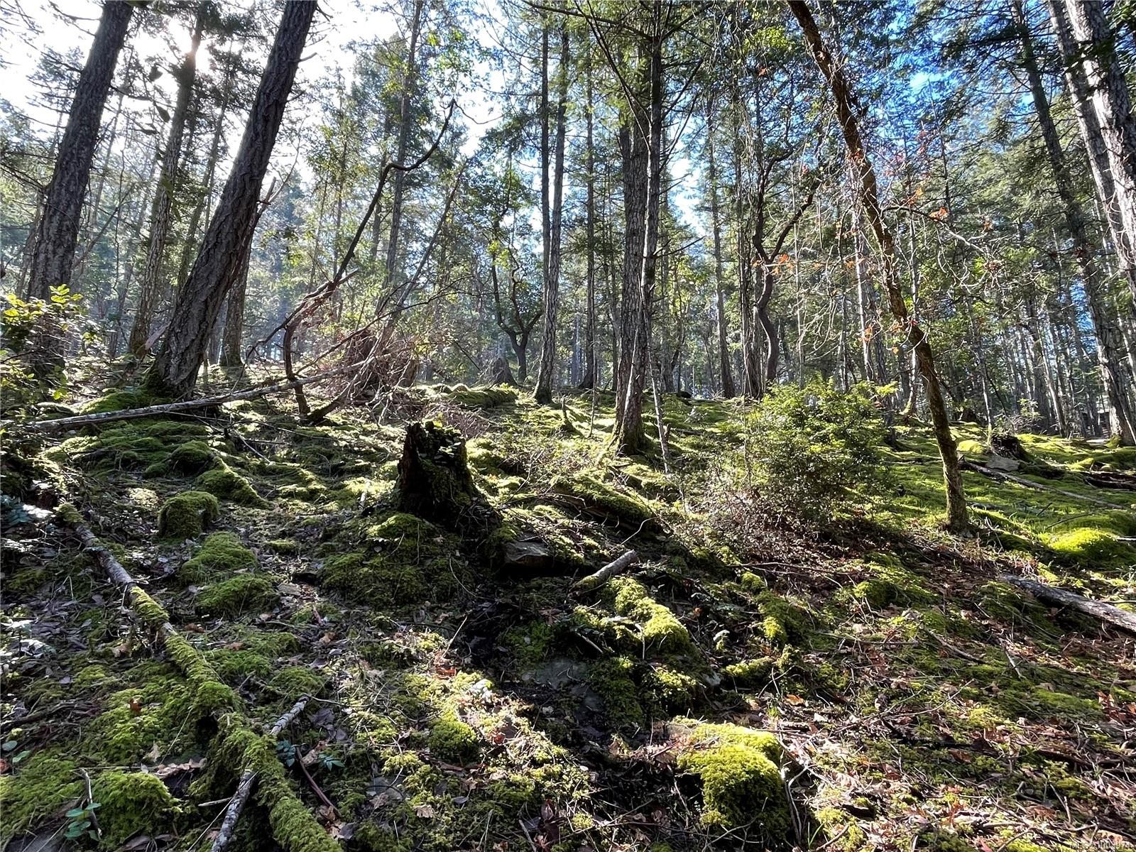 Lot 145 Coho Blvd, Mudge Island, BC