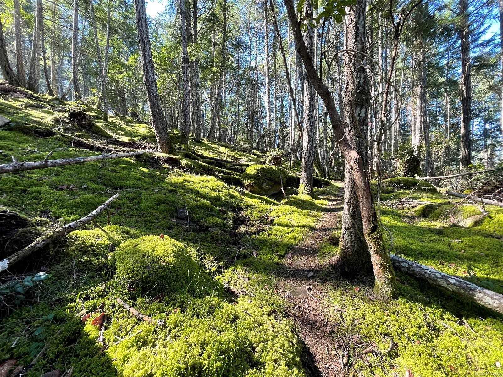 Lot 145 Coho Blvd, Mudge Island, BC