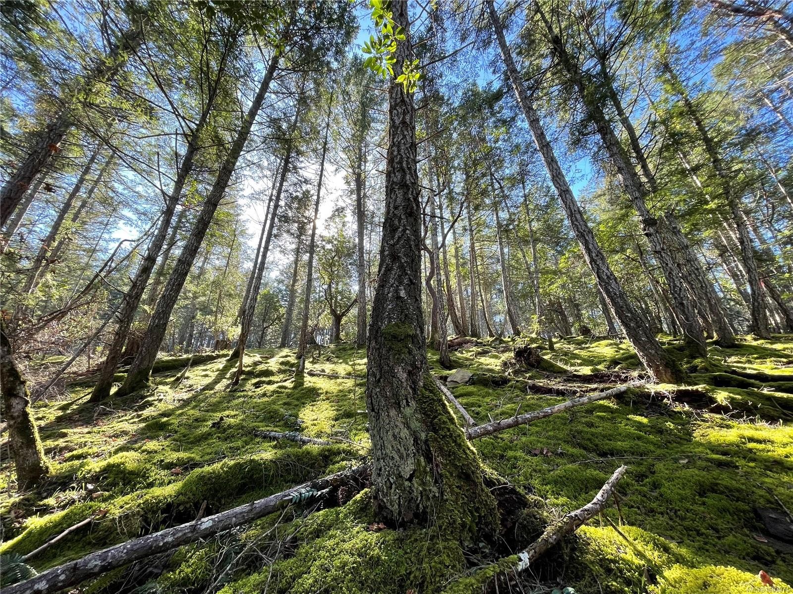 Lot 145 Coho Blvd, Mudge Island, BC