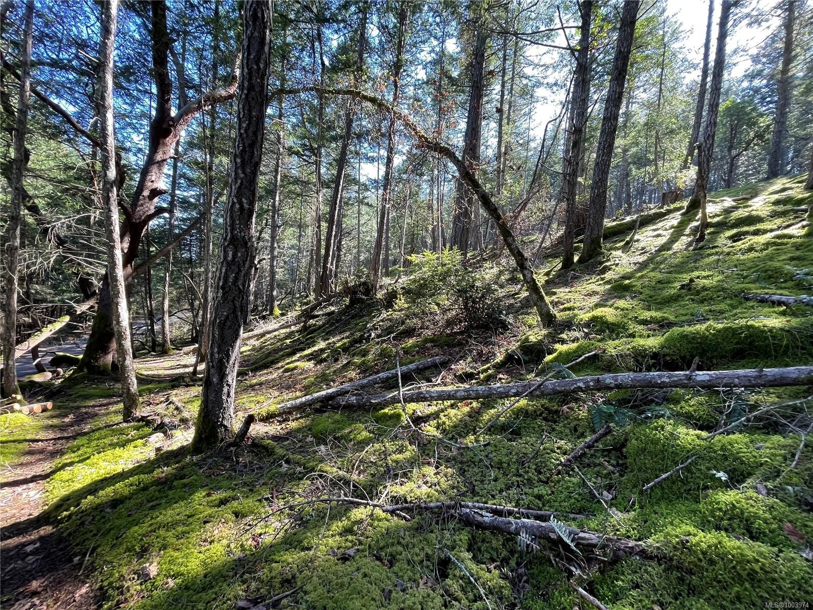 Lot 145 Coho Blvd, Mudge Island, BC