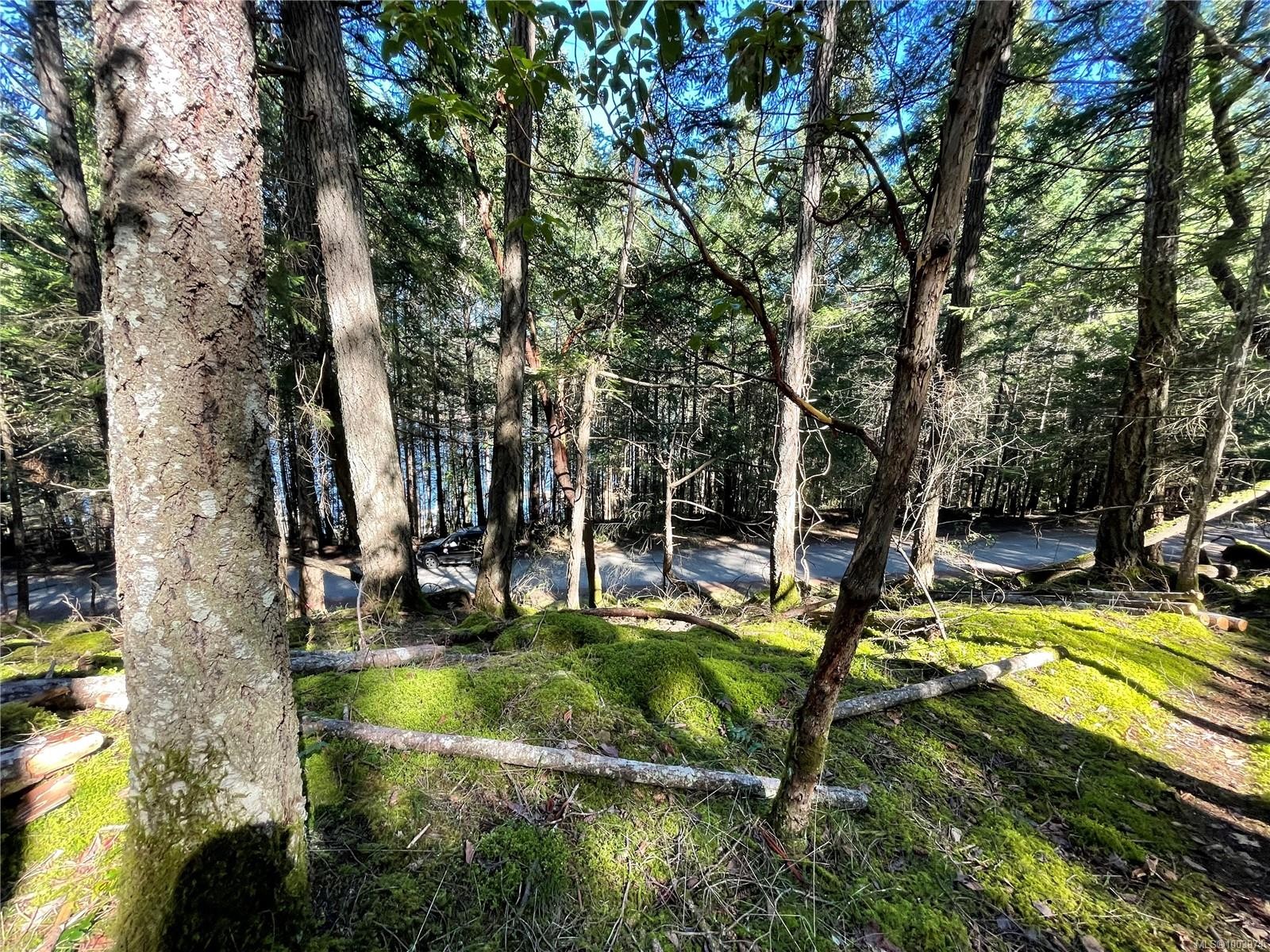 Lot 145 Coho Blvd, Mudge Island, BC