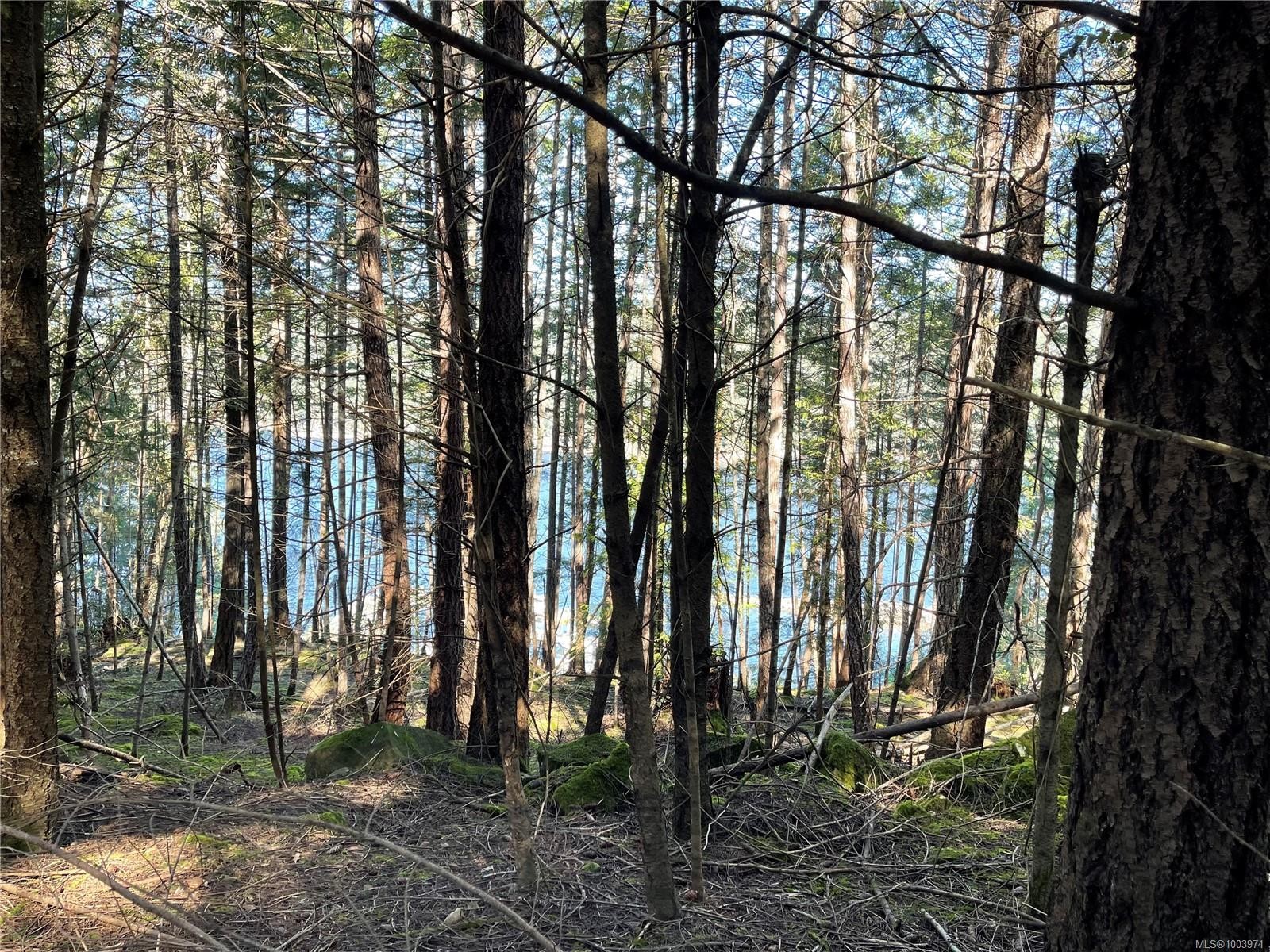 Lot 145 Coho Blvd, Mudge Island, BC