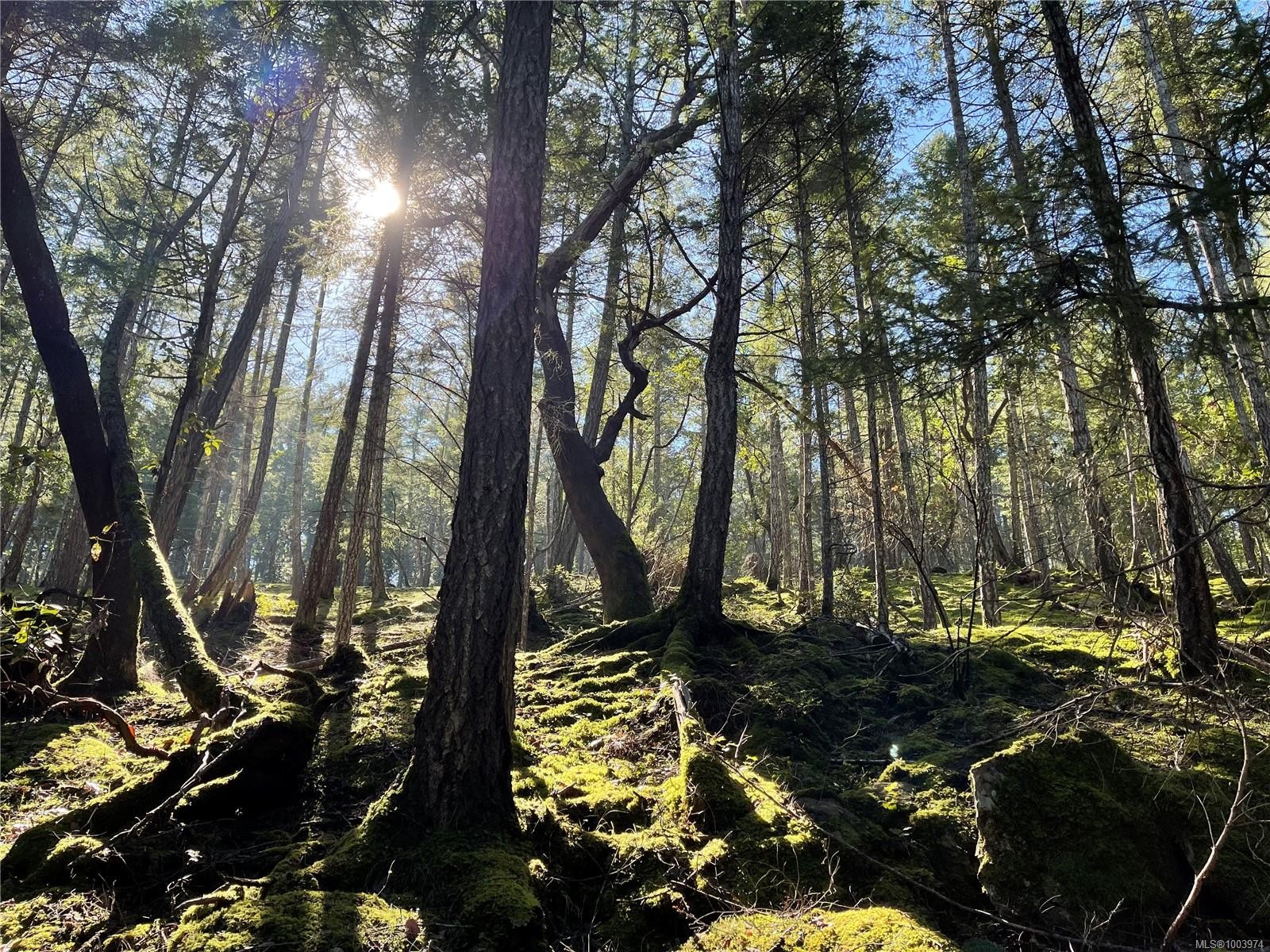 Lot 145 Coho Blvd, Mudge Island, BC