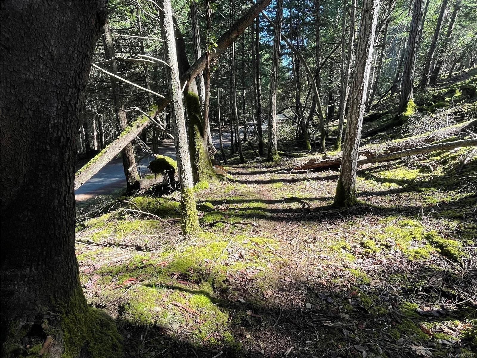 Lot 145 Coho Blvd, Mudge Island, BC