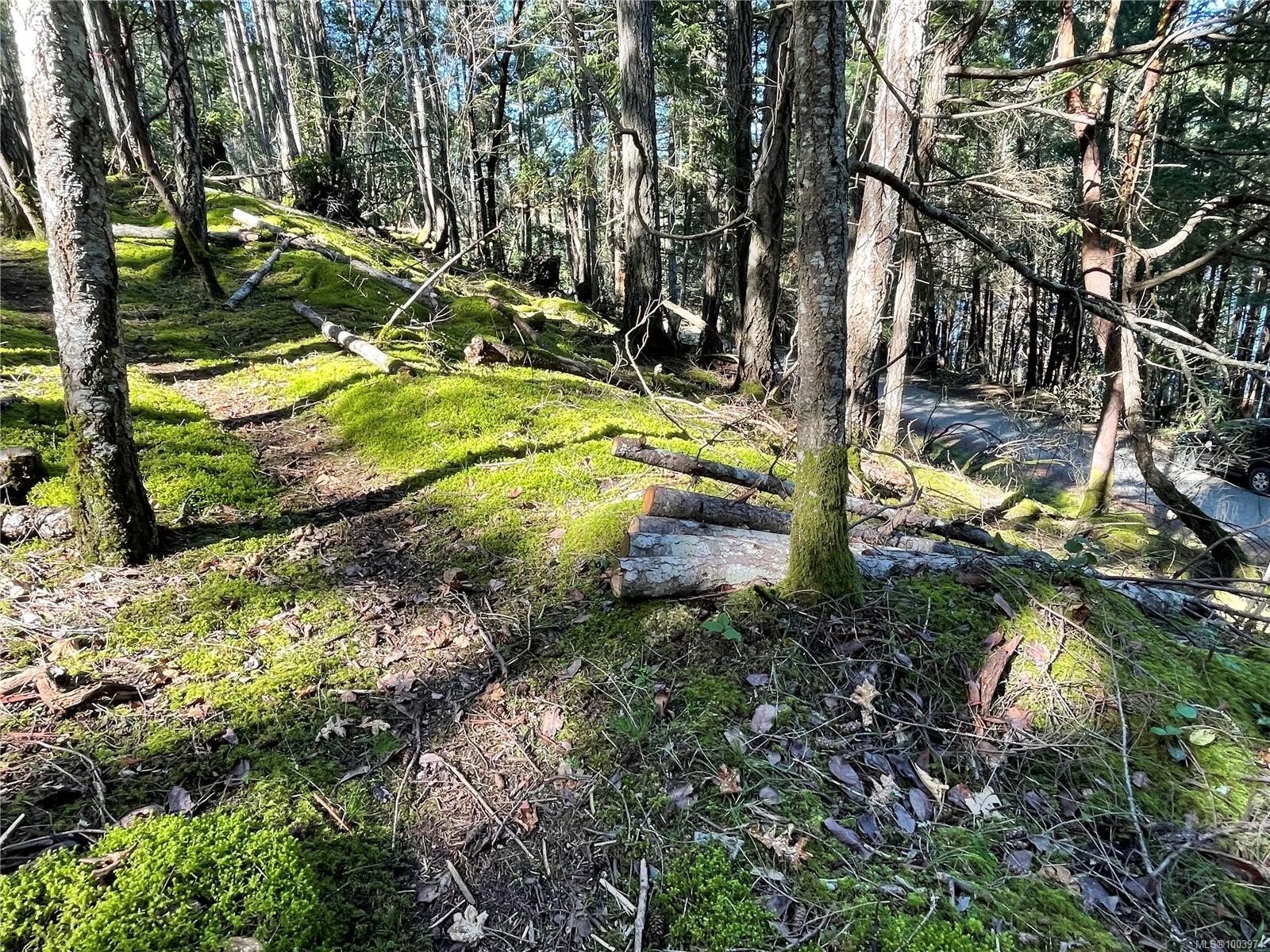 Lot 145 Coho Blvd, Mudge Island, BC