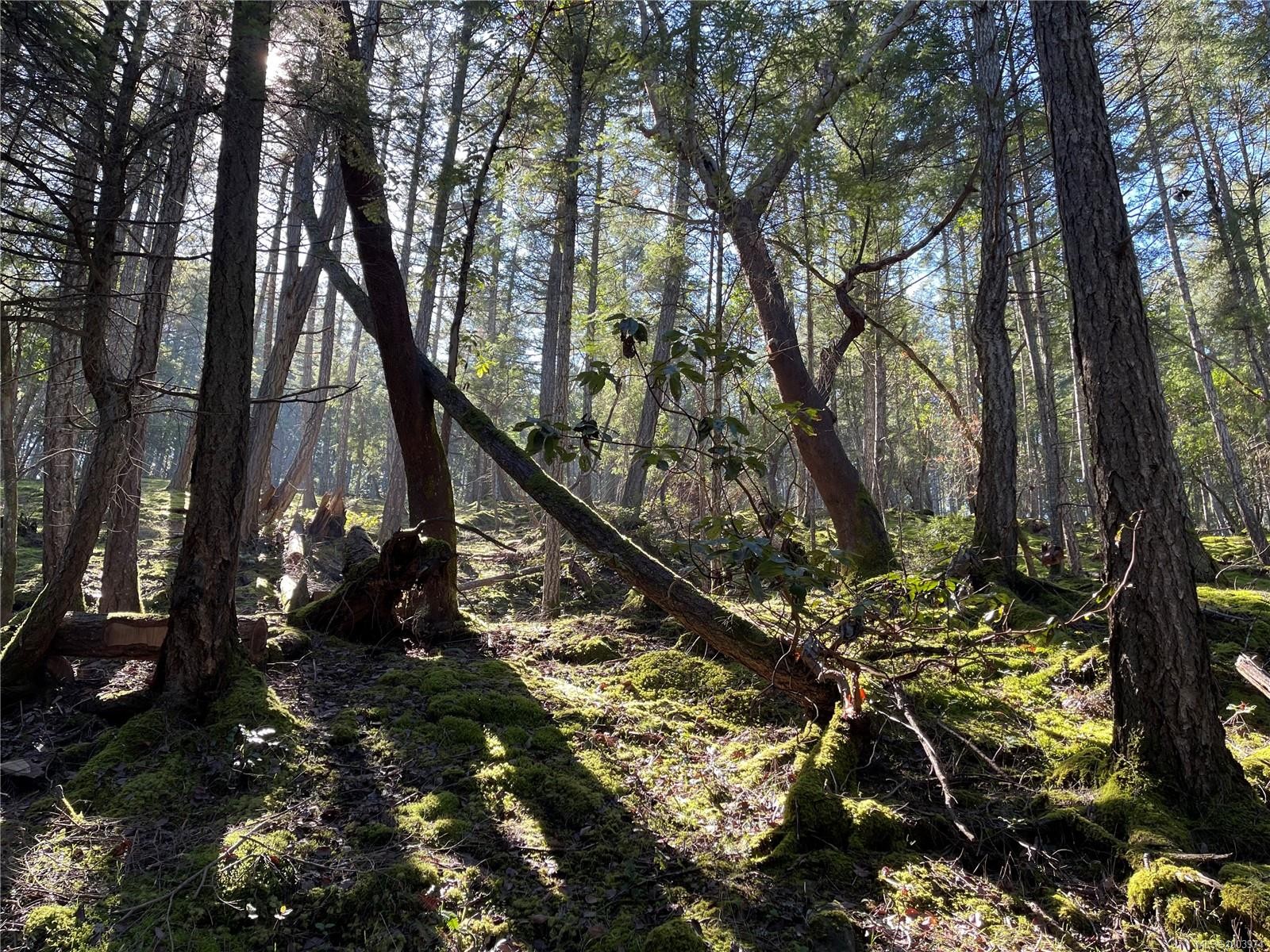 Lot 145 Coho Blvd, Mudge Island, BC