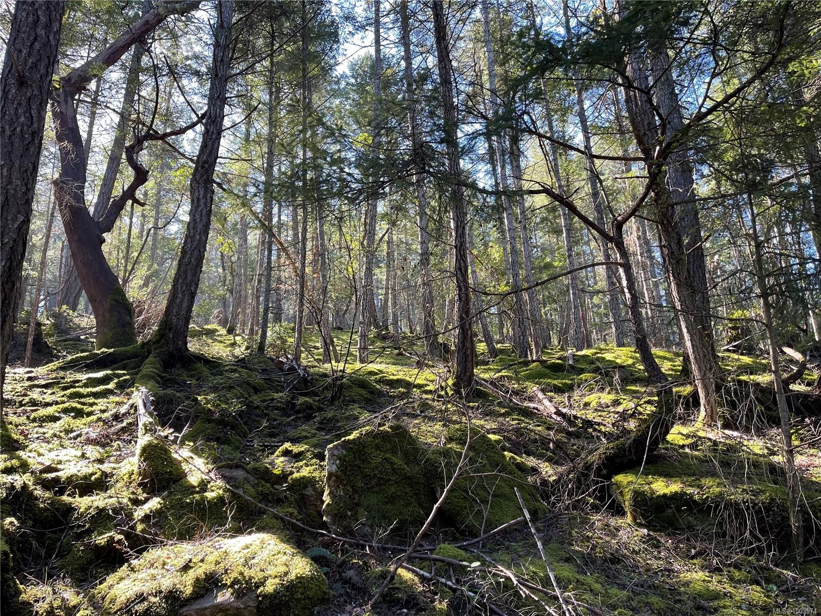 Lot 145 Coho Blvd, Mudge Island, BC