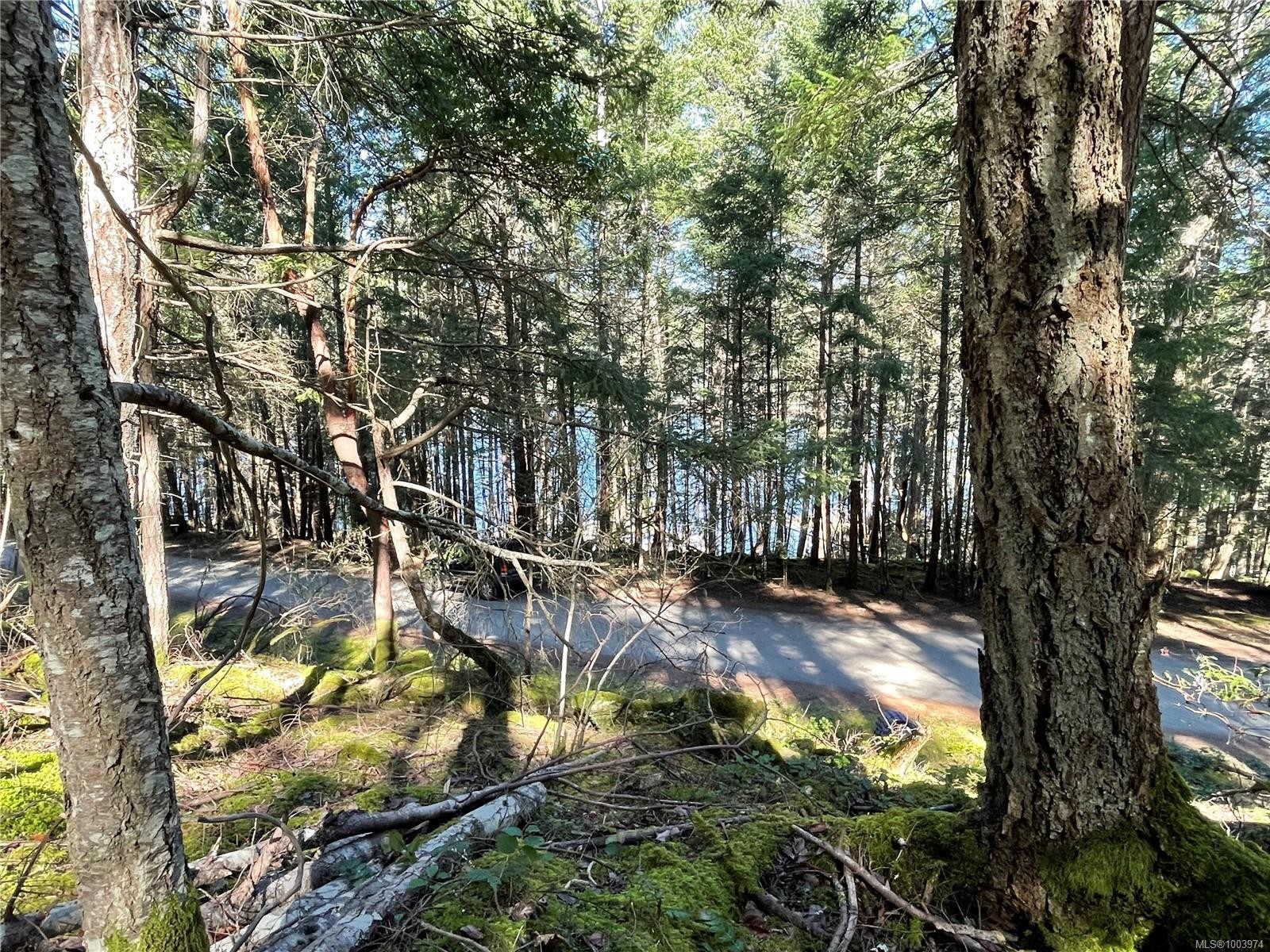 Lot 145 Coho Blvd, Mudge Island, BC