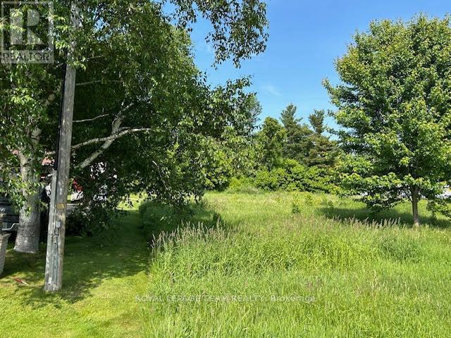 Lot Survey Post to immediate left of pole - 0 County Rd 12 Road, North Stormont, ON